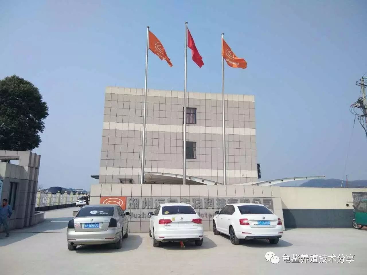 龟鳖养殖实用技术_水产养殖技术龟鳖_龟鳖养殖需要办什么证