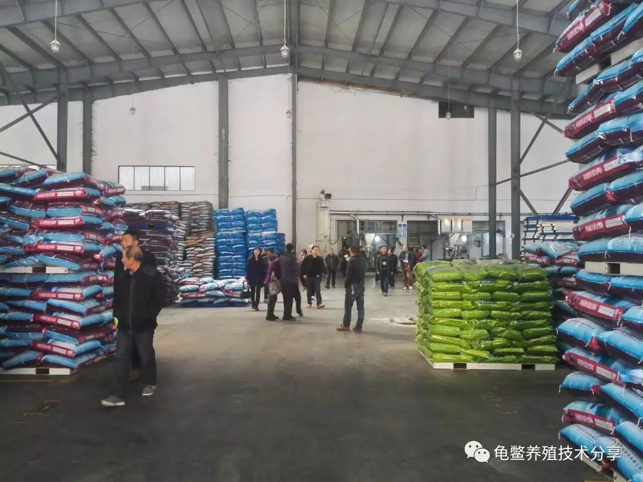 龟鳖养殖实用技术_水产养殖技术龟鳖_龟鳖养殖需要办什么证