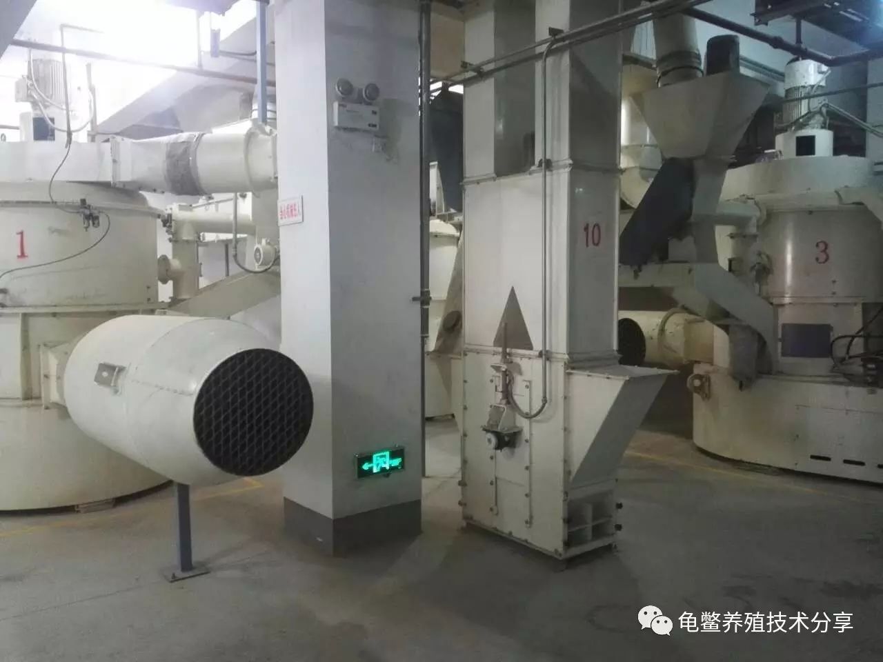 龟鳖养殖需要办什么证_龟鳖养殖实用技术_水产养殖技术龟鳖