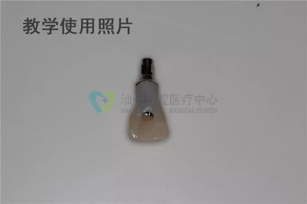 养殖种植技术新闻_养殖种植新技术_养殖种植技术新闻报道