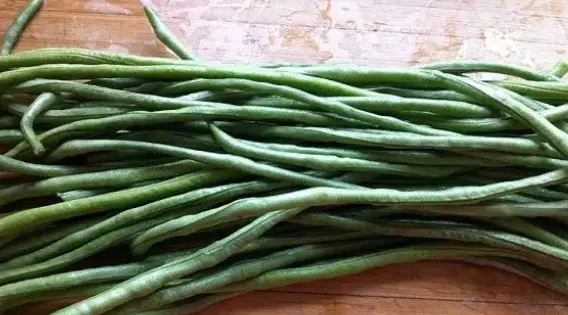 豆角种植技术及视频_种植豆角技术_豆角的种植过程简单