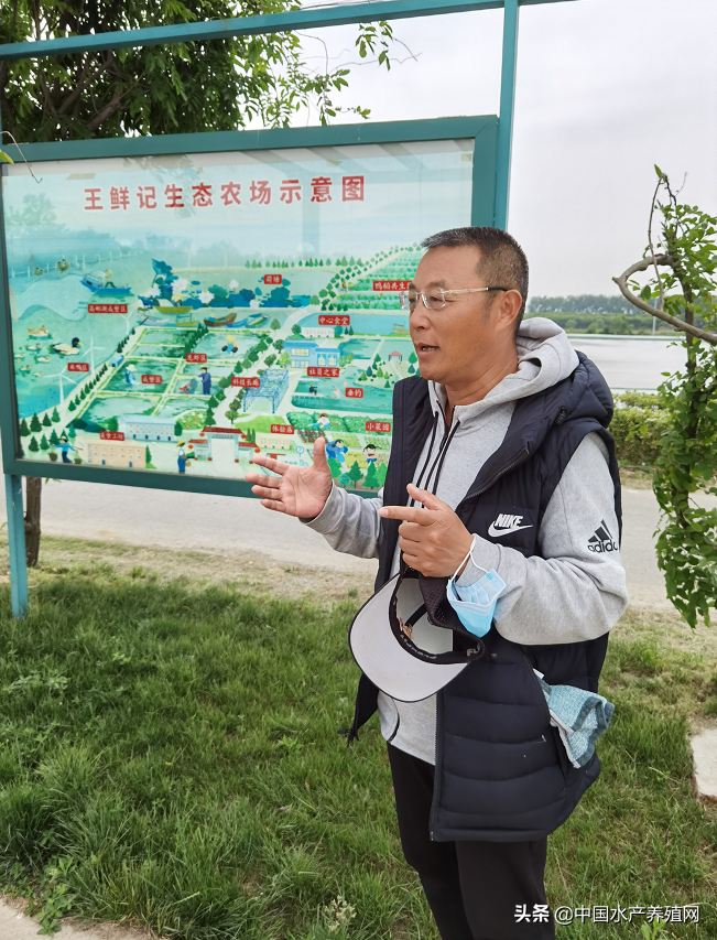 养螃蟹致富经_致富经螃蟹_螃蟹致富新闻