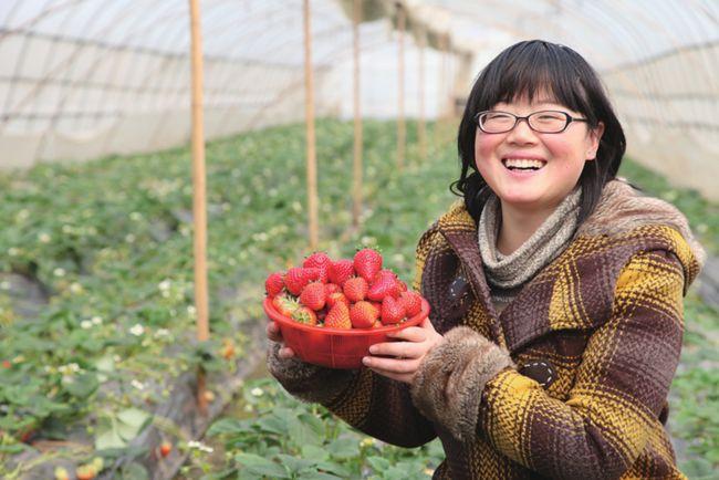 致富经种植草莓_致富经草莓种植技术_村莓种植致富