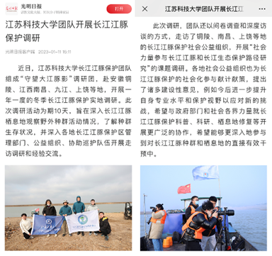 蚕蛹养殖技术致富经_养殖蚕蛹好赚钱吗_蚕蛹养殖致富