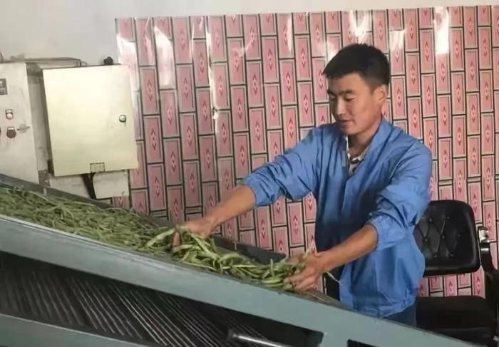 【争做北疆好网民】安定：返乡创业 谱写“网上”新篇章