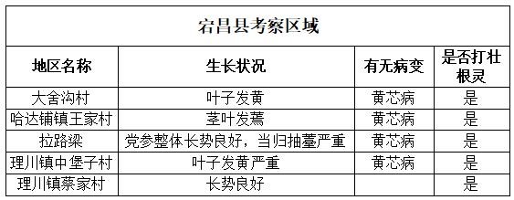 宕昌县考察区域
