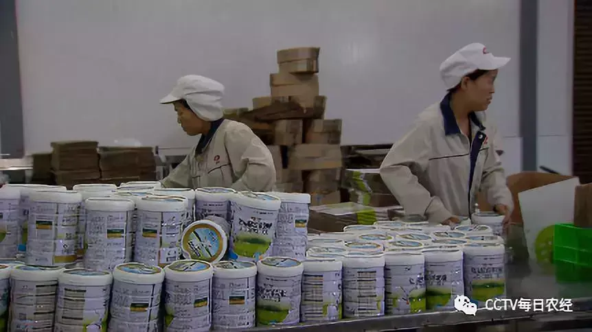致富经奶羊养殖方面的视频_养殖奶羊前景怎么样_农村养殖致富如奶羊养殖
