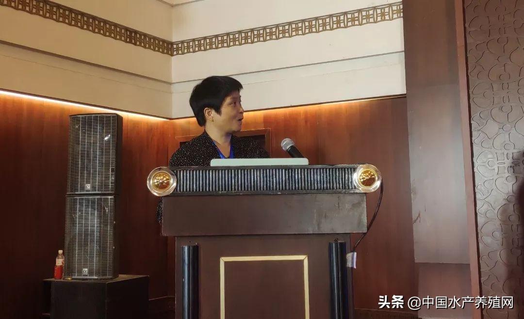 养殖青蟹新技术_视频致富养殖青蟹怎么做_致富经青蟹养殖视频