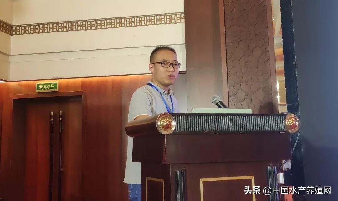 养殖青蟹新技术_致富经青蟹养殖视频_视频致富养殖青蟹怎么做
