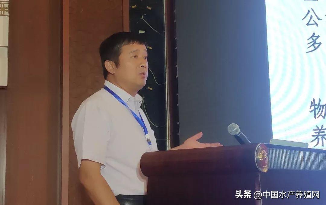 养殖青蟹新技术_致富经青蟹养殖视频_视频致富养殖青蟹怎么做