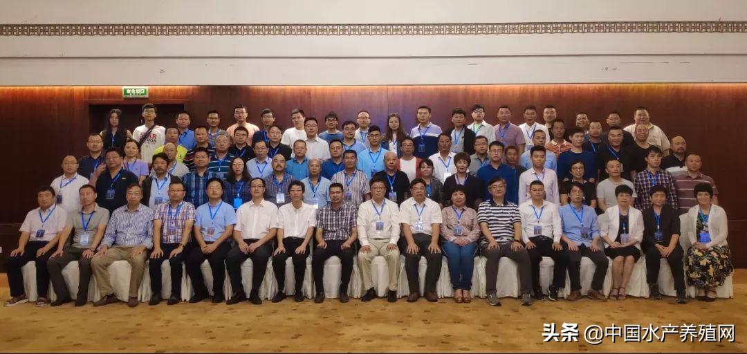 致富经青蟹养殖视频_养殖青蟹新技术_视频致富养殖青蟹怎么做