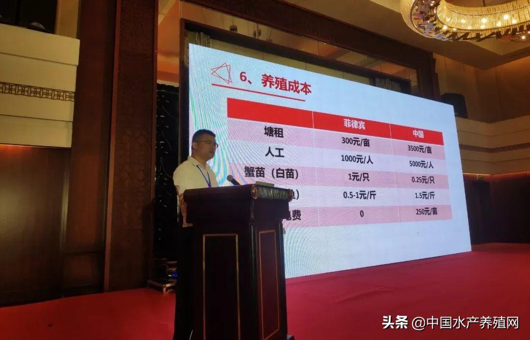 养殖青蟹新技术_视频致富养殖青蟹怎么做_致富经青蟹养殖视频