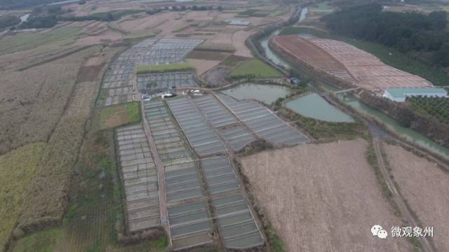 陕北养殖场_陕北农村养殖业补贴政策_陕北农村养殖致富