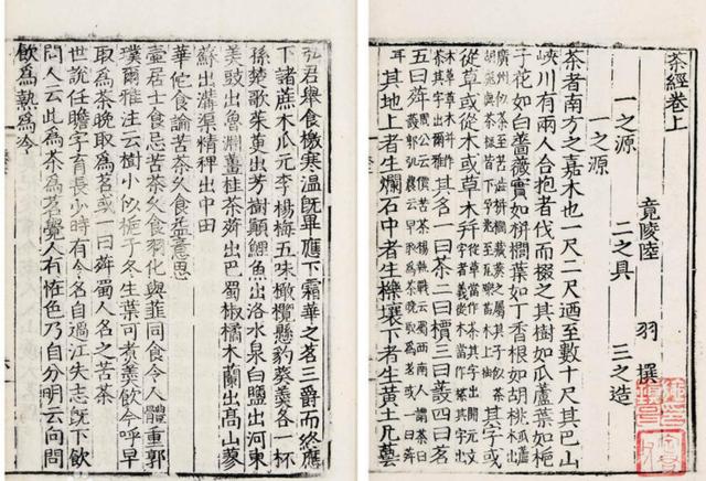 以茶致富的故事_茶叶致富带头人_致富经里的种茶名人