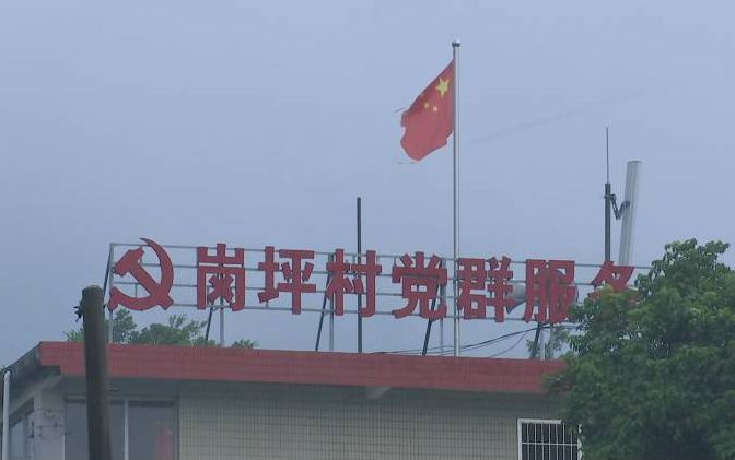 江门“三最”村支书 带领村民种茶致富