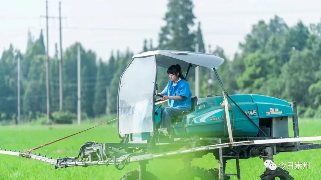 北京种植致富_种植致富经_北京种植什么最赚钱