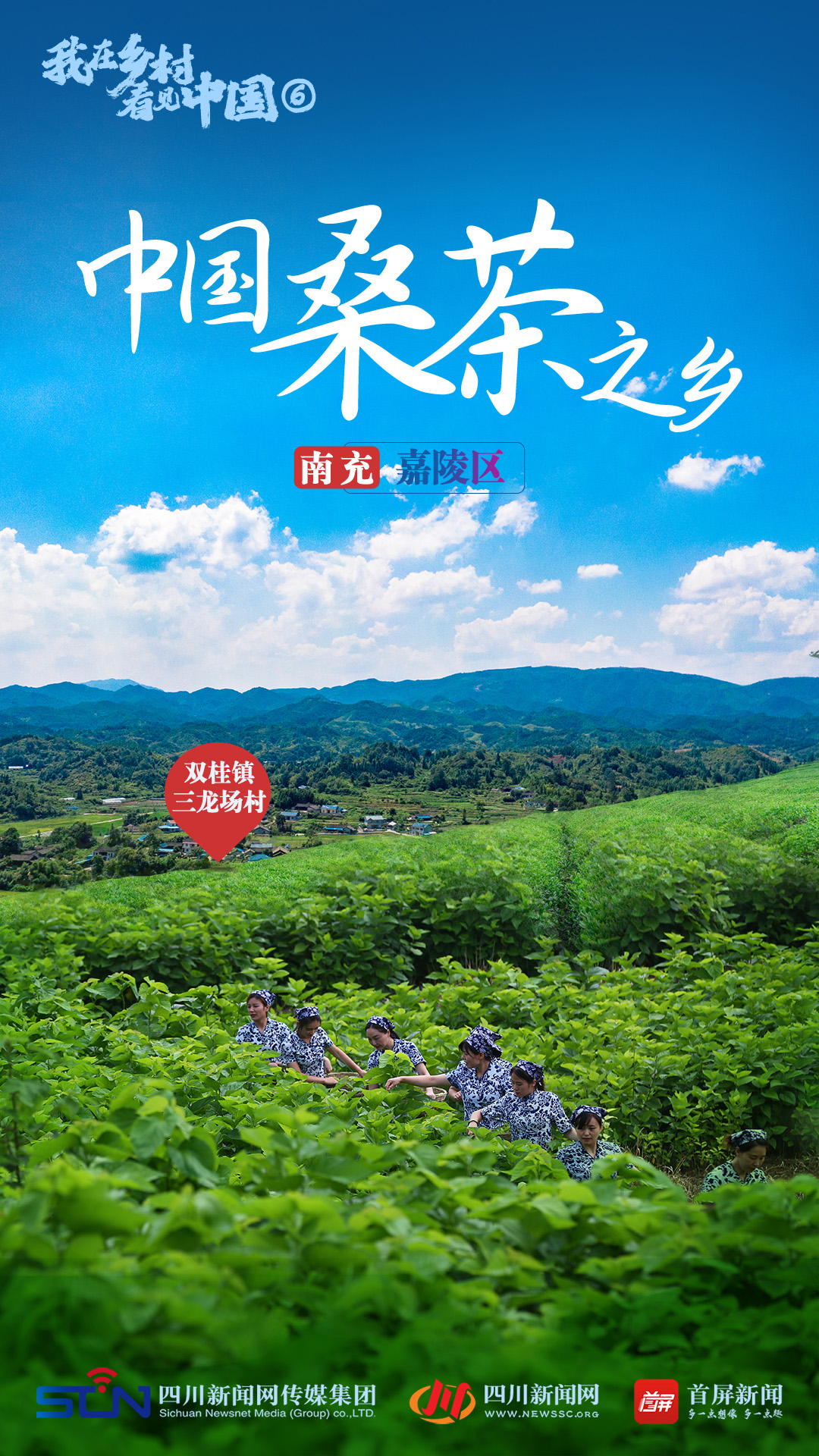 【我在乡村看见中国⑥】“中国桑茶之乡”南充：一片桑茶叶，百姓致富梦