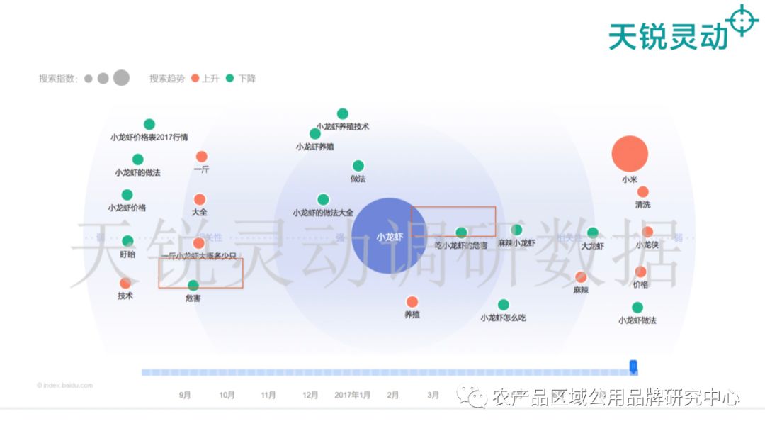 致富经龙虾养殖_致富经养殖龙虾_致富经小龙虾养殖