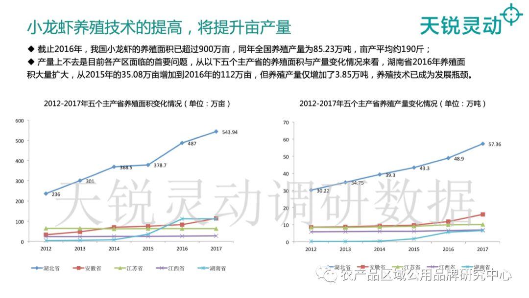 致富经小龙虾养殖_致富经养殖龙虾_致富经龙虾养殖