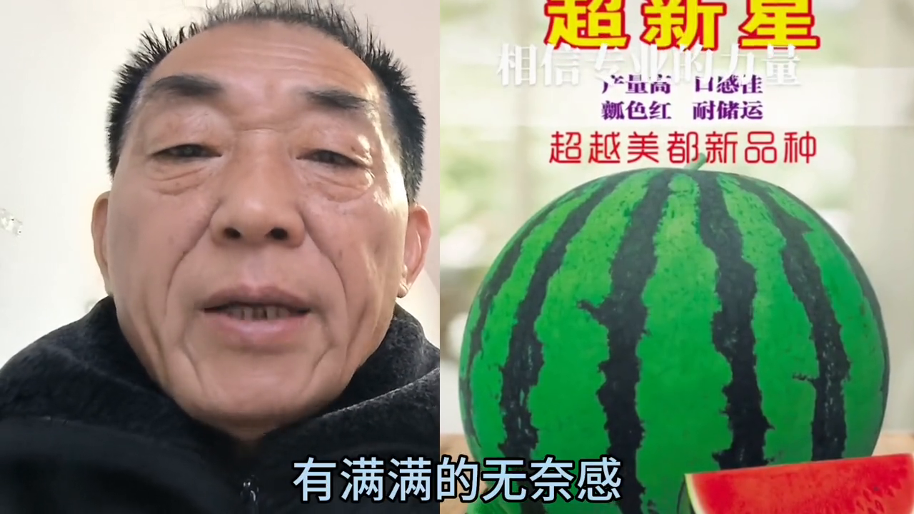 早春甜瓜苗期温度管理_早春甜瓜种植技术视频_甜瓜早春茬栽培技术