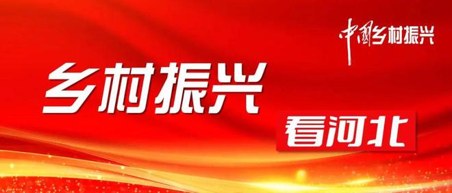 乡村振兴看河北 | 临城：“绿岭模式”实现向绿要富