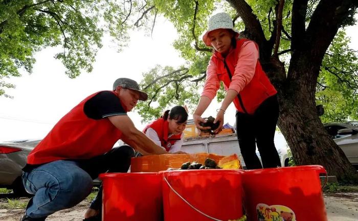 螺蛳养殖技术致富经_致富经养螺狮_致富经螺蛳养殖视频