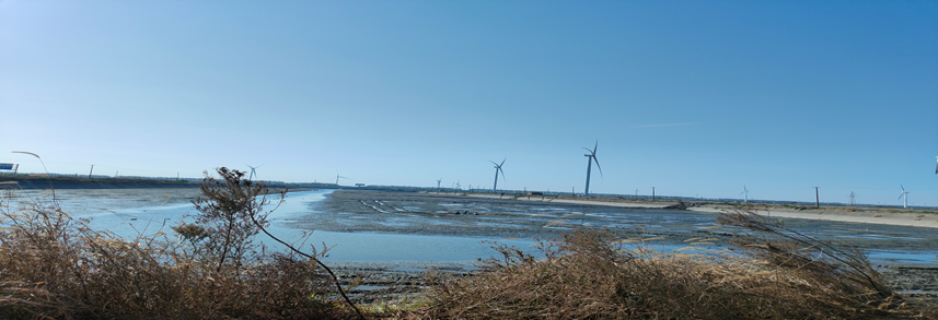 鳊鱼养殖技术视频_鲮鱼养殖最新技术视频_鳊鱼养殖视频教程