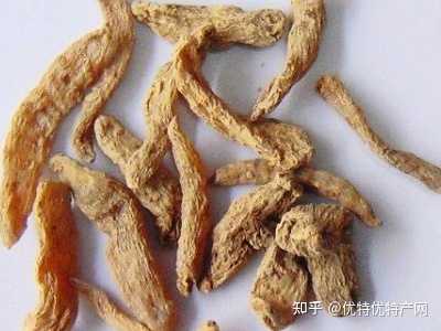 种植天麻技术全过程_天麻种植技术一_种植天麻技术方法