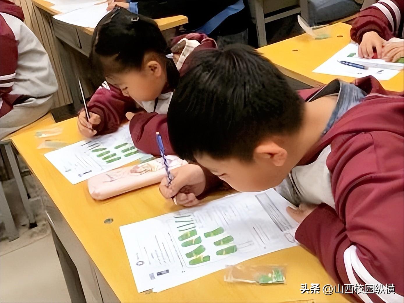 网络课程分享_优质网课分享经验_网课经验分享活动总结