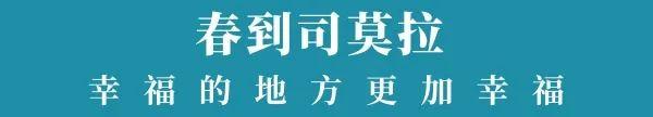 年入十多万！昌宁小伙破译胡蜂养殖“密码”，闯出增收致富路