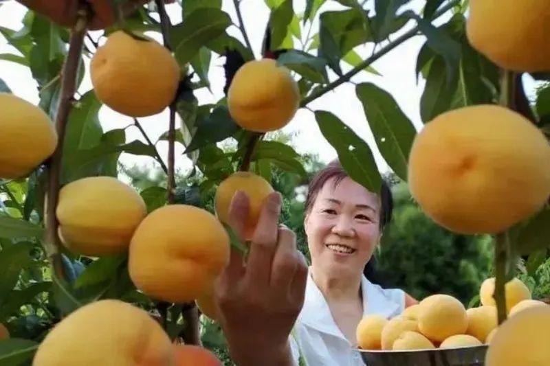 致富养殖投资项目有哪些_投资50万养殖致富项目_致富养殖业