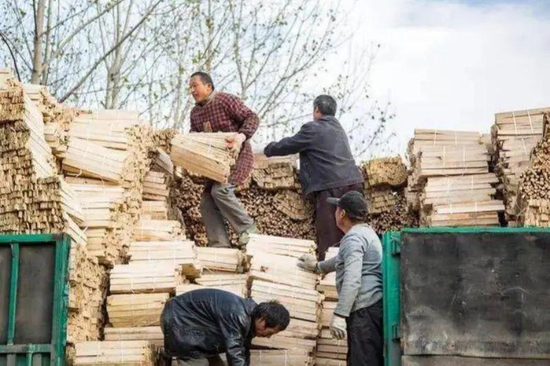 致富养殖投资项目有哪些_致富养殖业_投资50万养殖致富项目