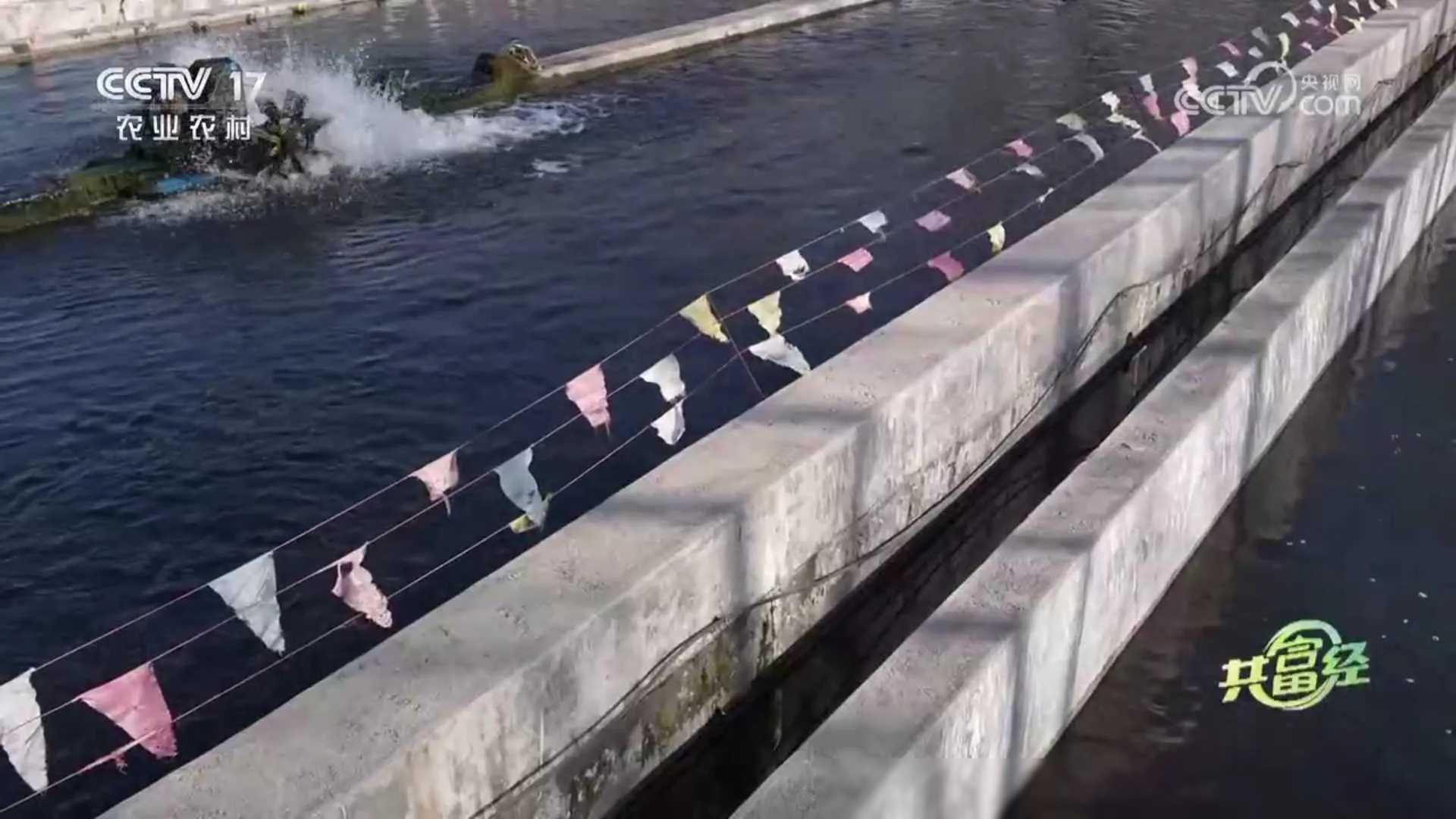 养殖致富项目一_投资50万养殖致富项目_致富养殖投资项目介绍