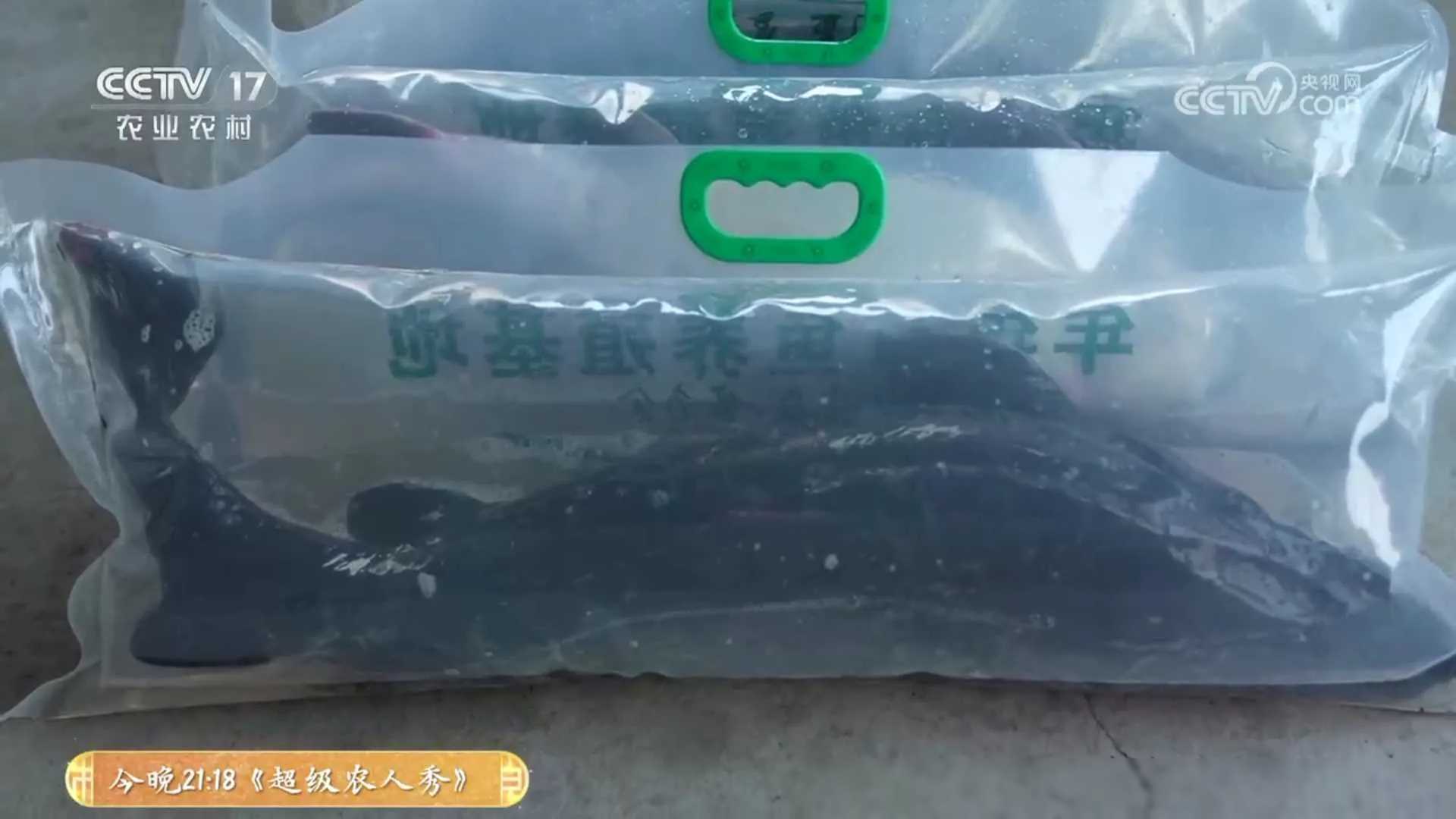 养殖致富项目一_投资50万养殖致富项目_致富养殖投资项目介绍