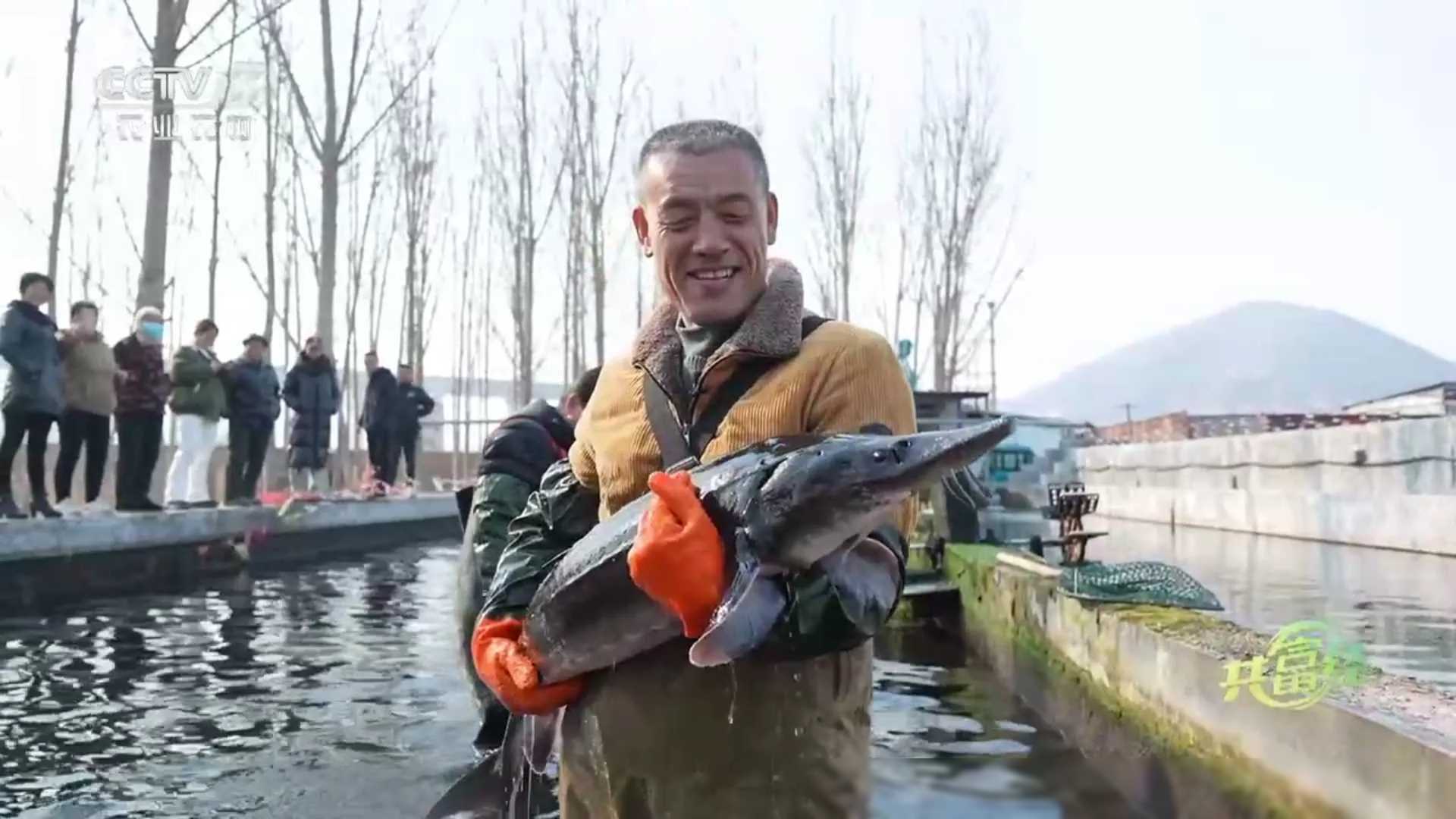 养殖致富项目一_投资50万养殖致富项目_致富养殖投资项目介绍
