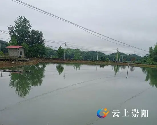 养殖致富新路视频_养殖致富路有哪些项目_致富创业网养殖视频