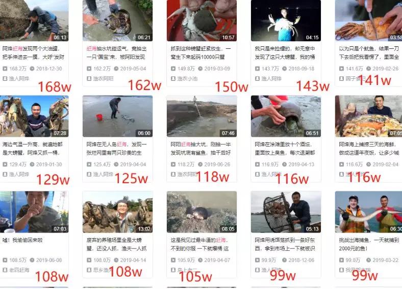龙虾混养技术_致富经鱼龙虾混养视频_小龙虾混养鱼