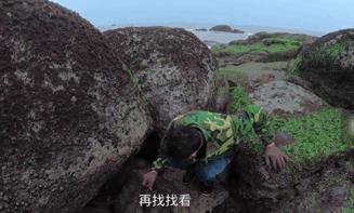龙虾混养技术_致富经鱼龙虾混养视频_小龙虾混养鱼