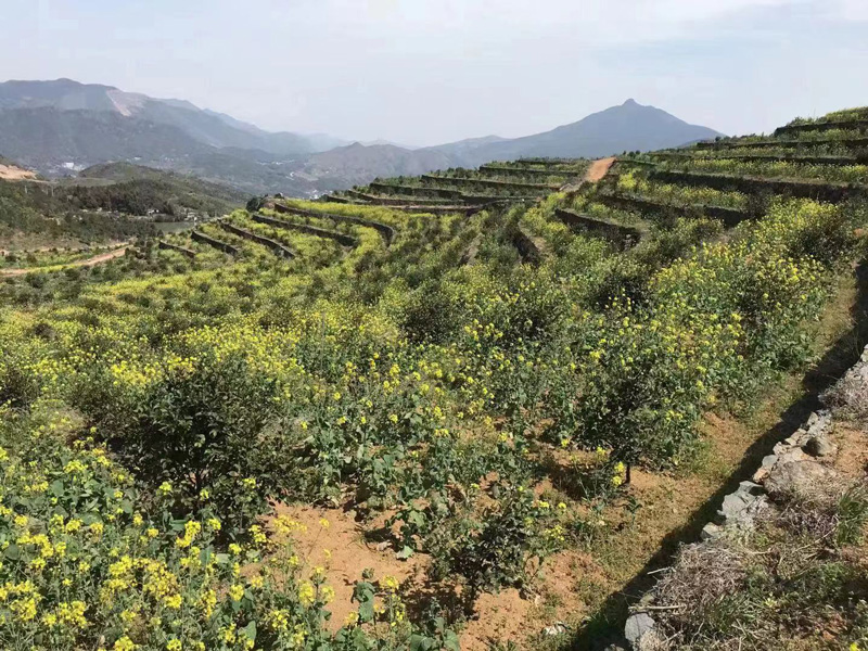 致富创业网养殖视频_养殖致富新路视频_养殖致富路有哪些项目