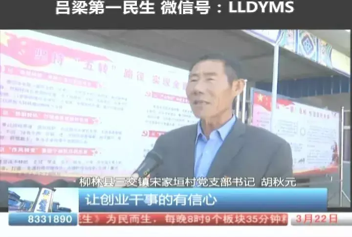 湖羊养殖技术讨论记录_关于湖羊养殖书_湖羊养殖培训方案