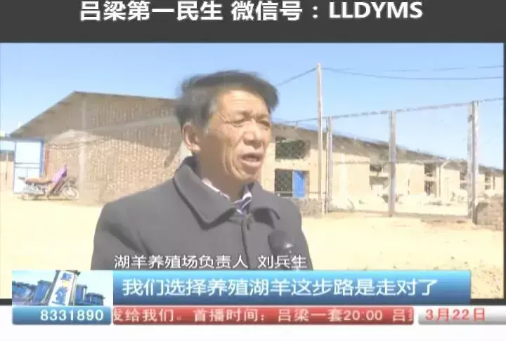 湖羊养殖技术讨论记录_湖羊养殖培训方案_关于湖羊养殖书