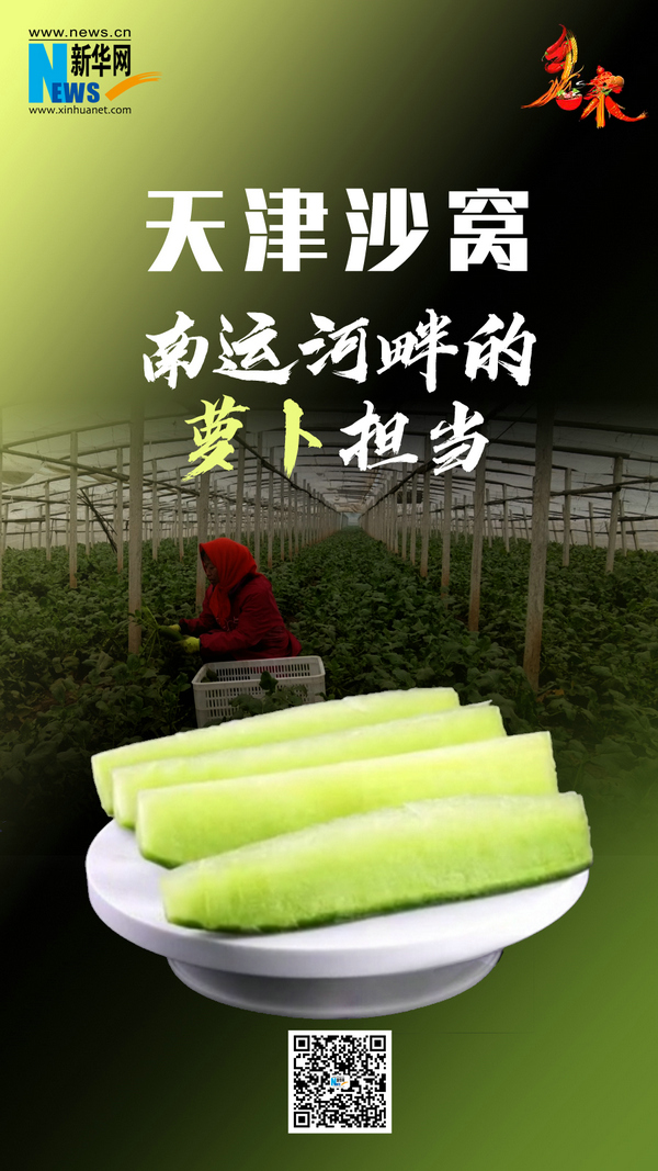 乡味｜天津沙窝：南运河畔的萝卜担当