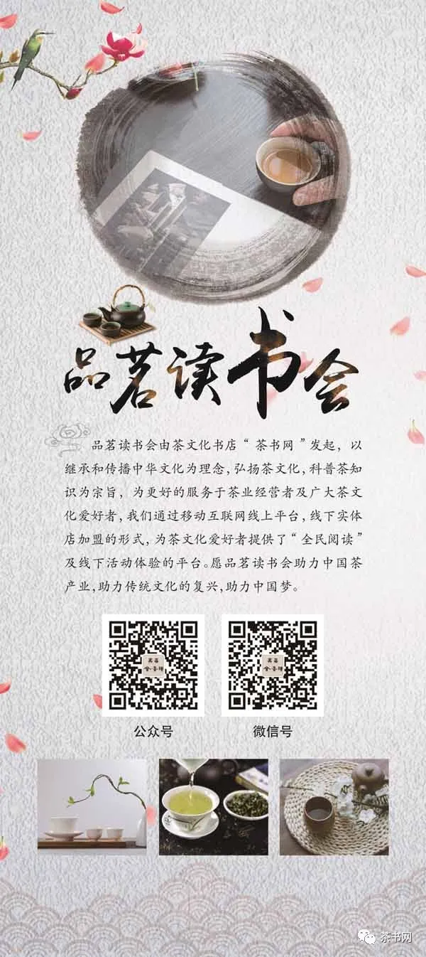 致富茶树种植条件_种植茶树前景怎么样_种植什么茶树致富