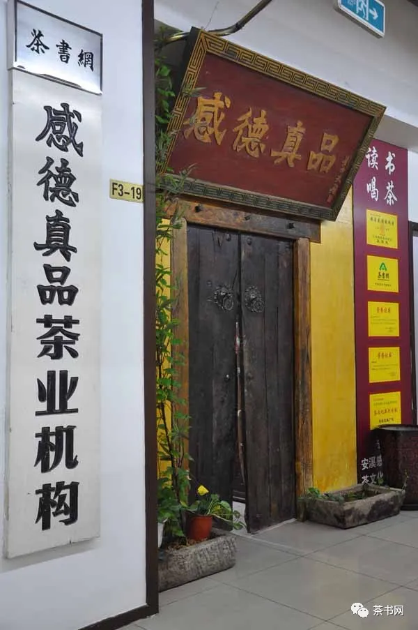 种植什么茶树致富_致富茶树种植条件_种植茶树前景怎么样