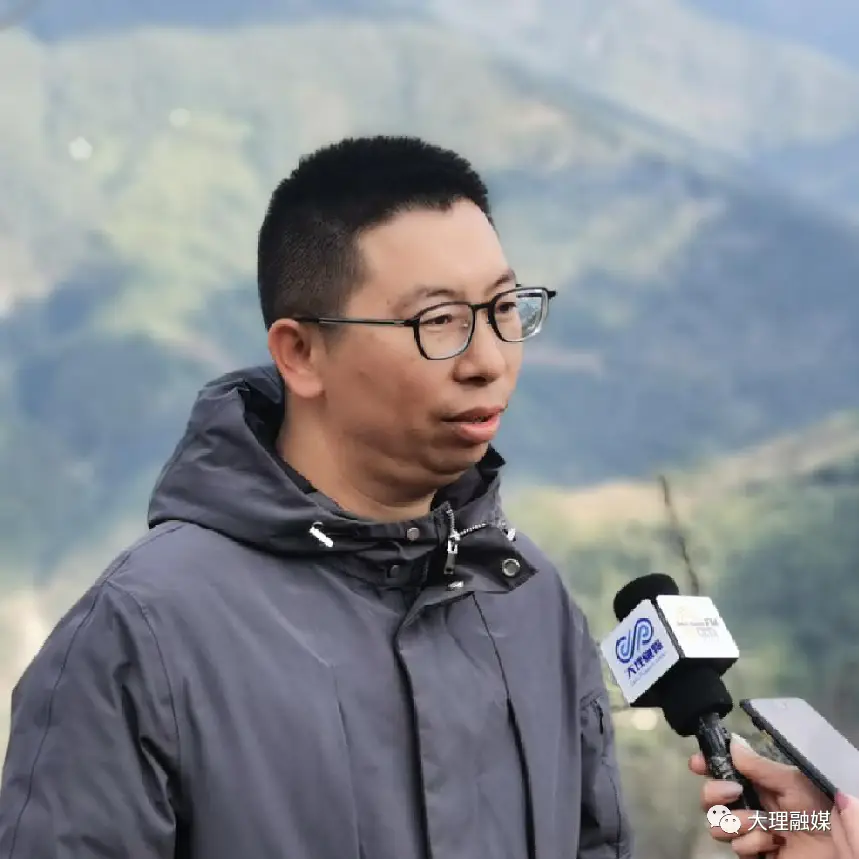 魔芋种植10元能赚多少_小魔芋种植致富_种植魔芋挣钱吗