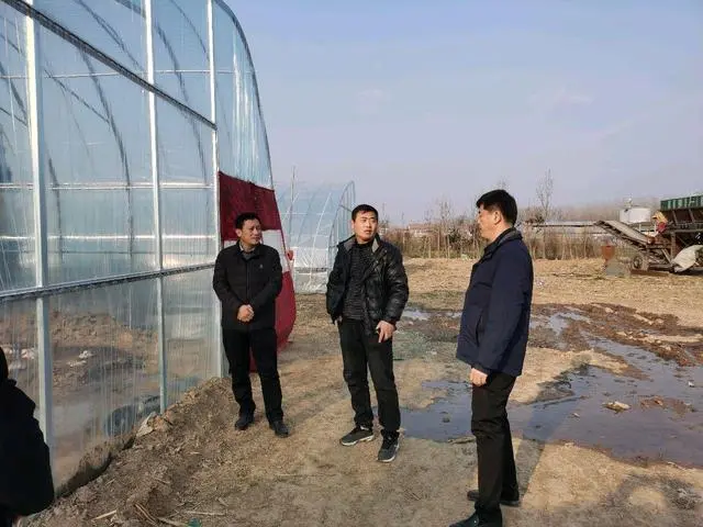 三农致富种植技术_三农致富经种植项目_致富经创业项目三农种植业