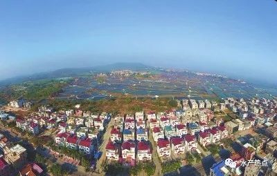 养乌龟视频大全在线_致富经乌龟养殖场的视频_2016致富经养乌龟视频