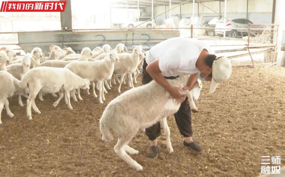 肉牛养殖增收致富_肉牛养殖致富经_养殖肉牛赚钱吗