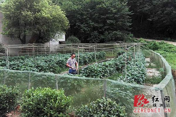 致富经青蛙养殖大户电话号_致富经青蛙养殖大户电话号_致富经青蛙养殖大户电话号
