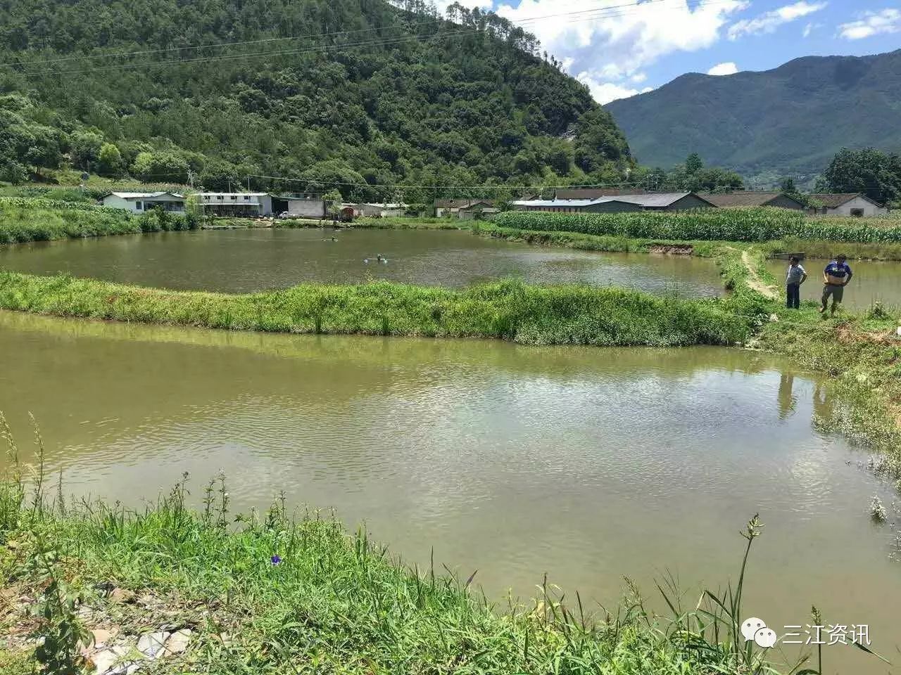 兴泰水产品养殖_泰兴水产公司_泰兴水产养殖致富